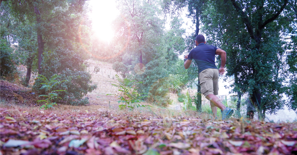 Webinars: Sports and Well-Being 