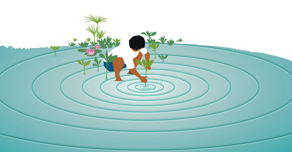 Journée des zones humides