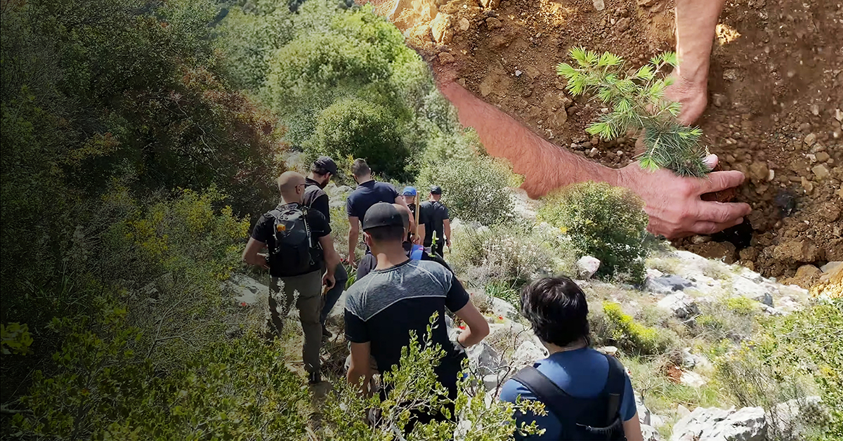 Reviving Nature’s Beauty: A Reforestation and Hiking Trip