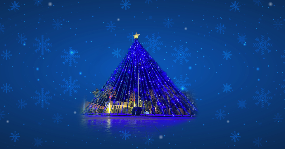 Christmas Tree Lighting