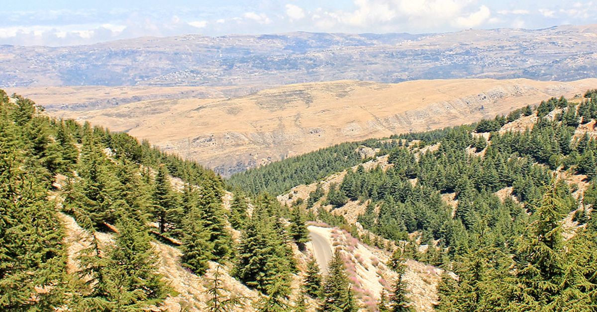 Hiking Trip to Shouf Biosphere Reserve 