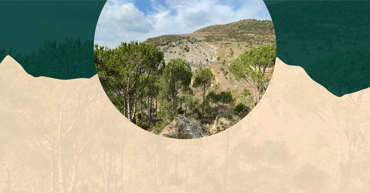 Hiking Trip to Baskinta 