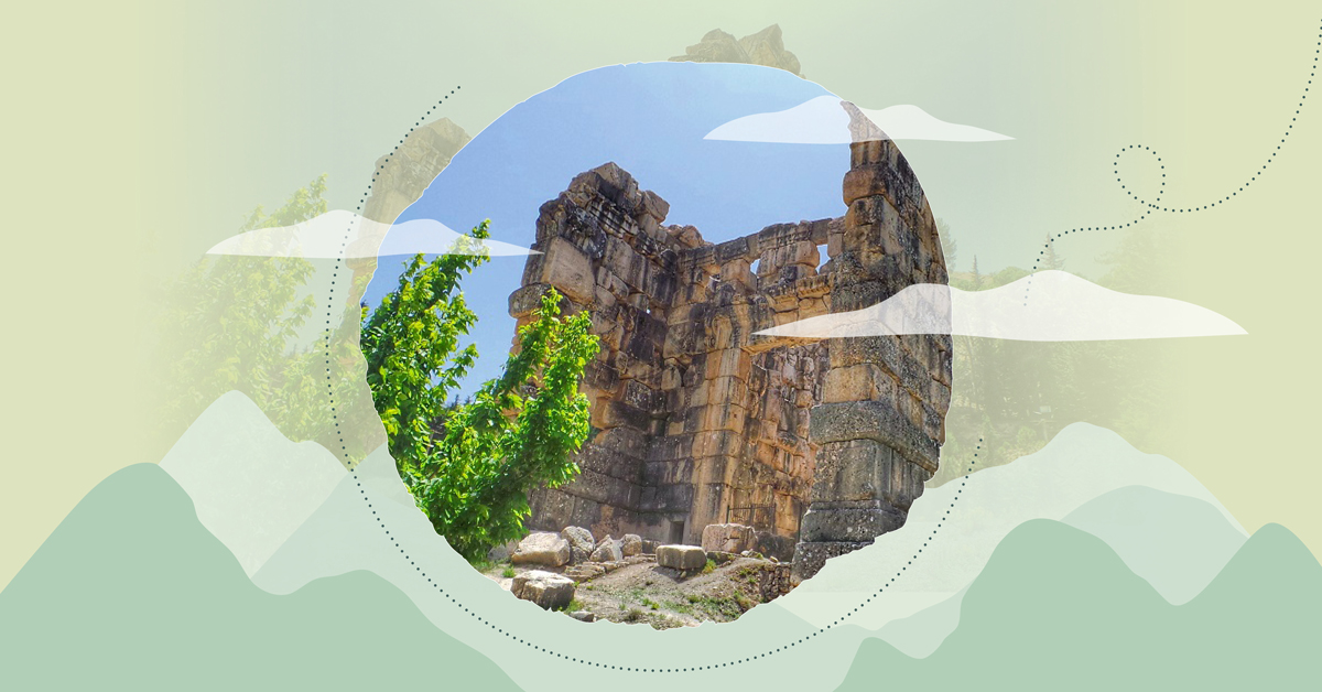 Randonnée et reboisement : À la découverte des ruines de Niha