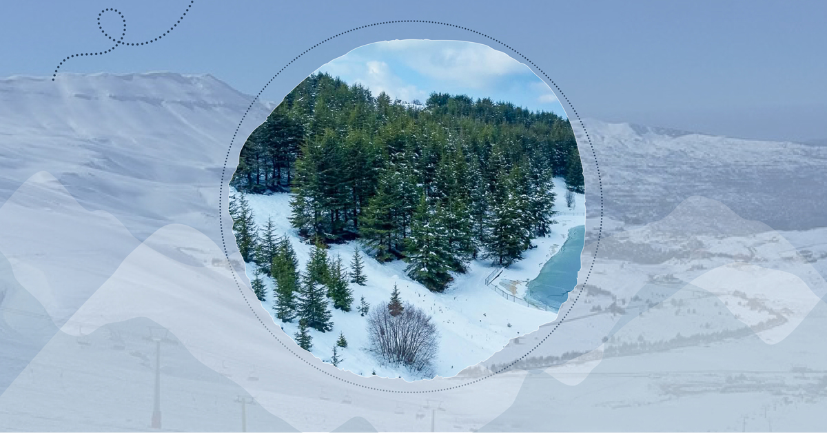 Sentier blanc : randonnée en raquettes