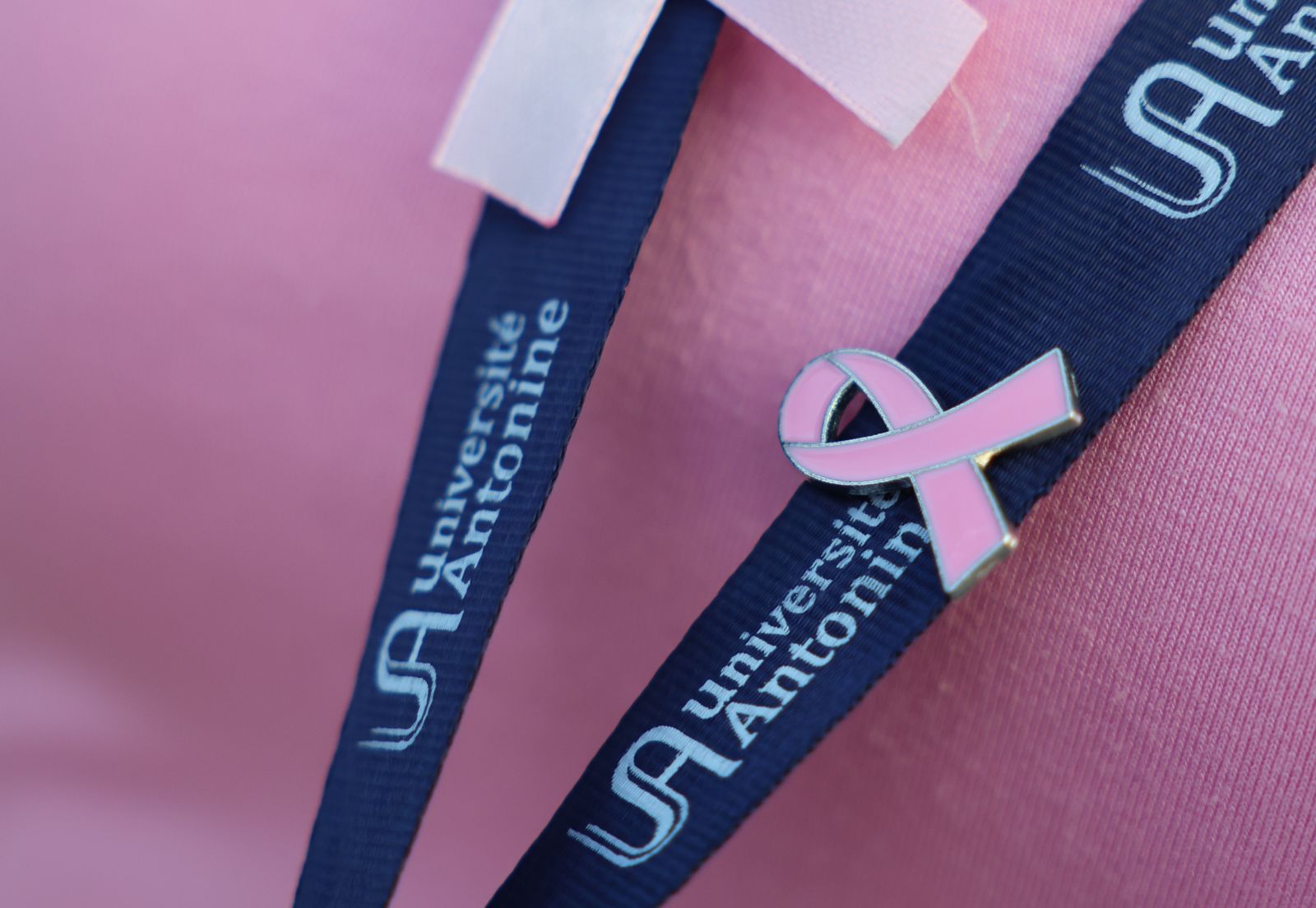 /Gallery/EnglishWebsite/News/UAStudentsJoinPinkyPromiseforBreastCancerAwareness/29.jpeg
